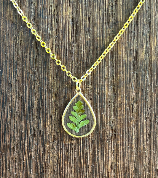 Real Pressed Fern Necklace - Teardrop Pendant